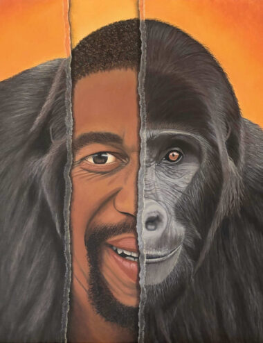 evolution